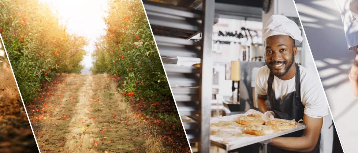 Design sans titre (8)